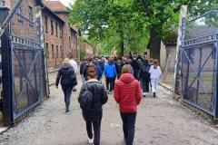 IMG20250519102253-Copy