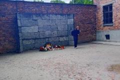 IMG20250519105648-Copy