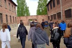 IMG20250519105732-Copy