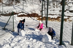 IMG_20190128_125548