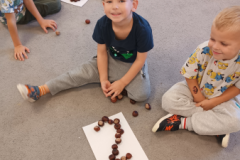 IMG_20241010_112655-Copy