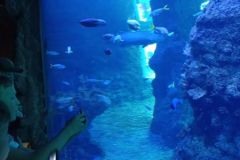 IMG20230613120434-res