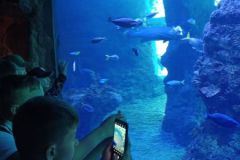 IMG20230613120436-res