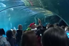 IMG20230613121446-res