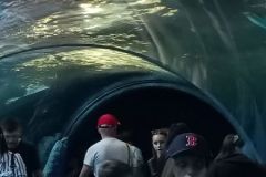 IMG20230613121547-res