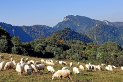 IMG20211004101122