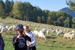 IMG20211004101234
