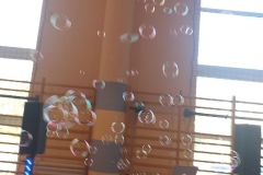 IMG-20200217-WA0049